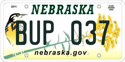 NE license plate BUP037