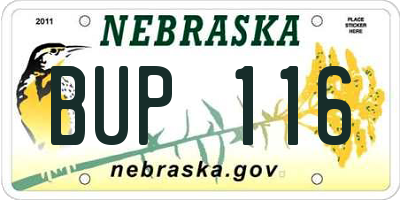NE license plate BUP116