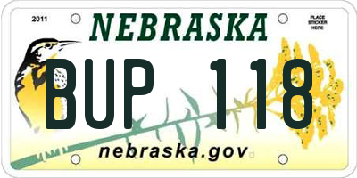 NE license plate BUP118