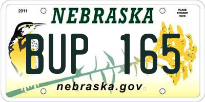 NE license plate BUP165