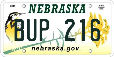 NE license plate BUP216