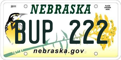 NE license plate BUP222