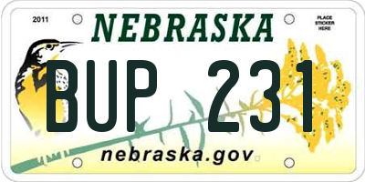 NE license plate BUP231