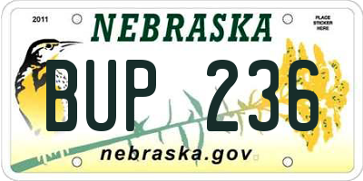 NE license plate BUP236