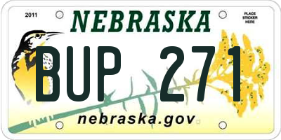 NE license plate BUP271