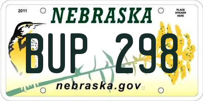 NE license plate BUP298