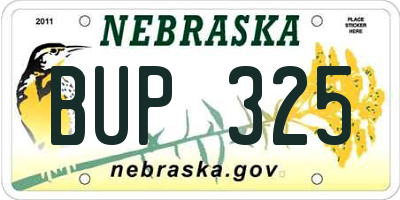 NE license plate BUP325