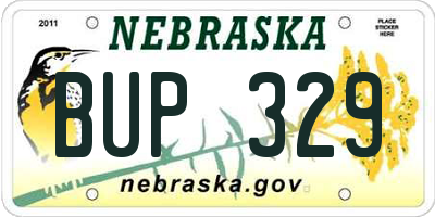 NE license plate BUP329