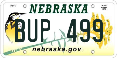 NE license plate BUP499