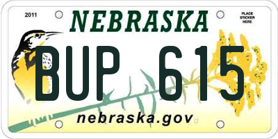 NE license plate BUP615