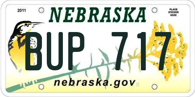 NE license plate BUP717