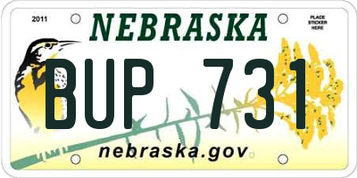 NE license plate BUP731