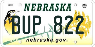 NE license plate BUP822
