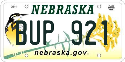 NE license plate BUP921
