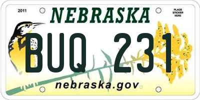 NE license plate BUQ231