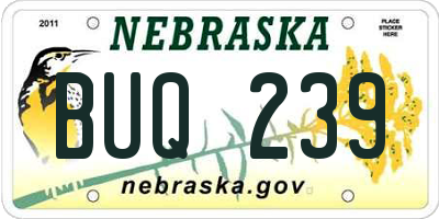 NE license plate BUQ239