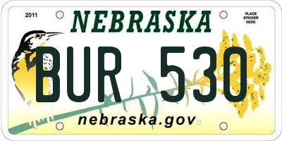 NE license plate BUR530
