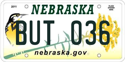 NE license plate BUT036