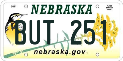 NE license plate BUT251