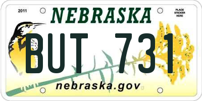 NE license plate BUT731