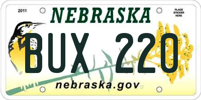 NE license plate BUX220