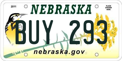 NE license plate BUY293
