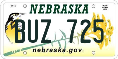 NE license plate BUZ725