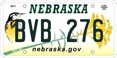 NE license plate BVB276
