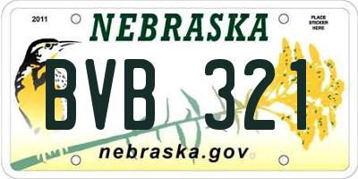 NE license plate BVB321