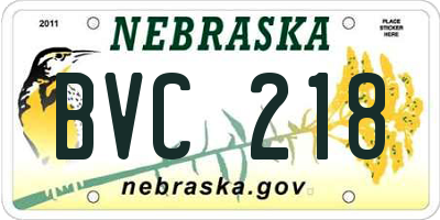 NE license plate BVC218