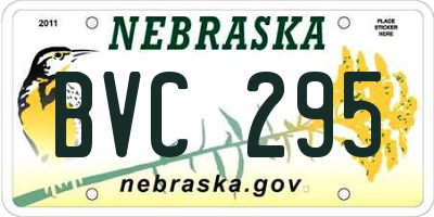 NE license plate BVC295