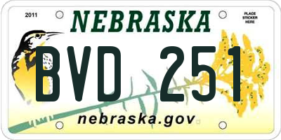 NE license plate BVD251