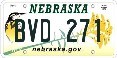 NE license plate BVD271