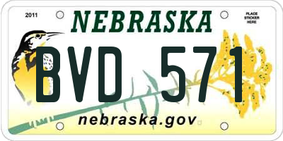 NE license plate BVD571
