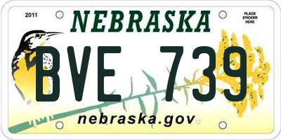 NE license plate BVE739