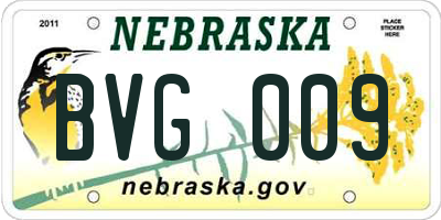 NE license plate BVG009