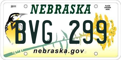 NE license plate BVG299