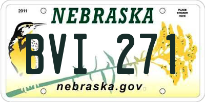 NE license plate BVI271