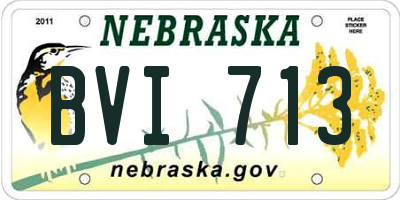 NE license plate BVI713