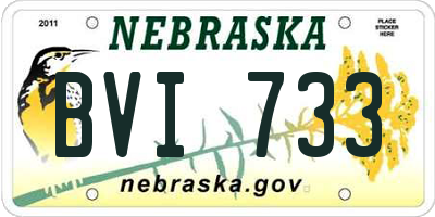 NE license plate BVI733