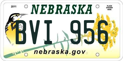 NE license plate BVI956