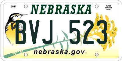 NE license plate BVJ523
