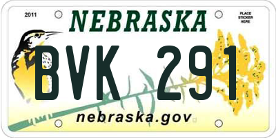 NE license plate BVK291