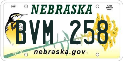 NE license plate BVM258