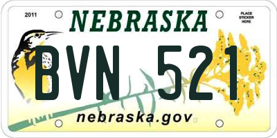 NE license plate BVN521