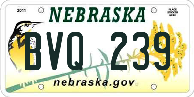 NE license plate BVQ239