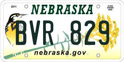 NE license plate BVR829
