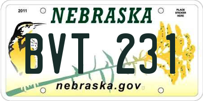 NE license plate BVT231