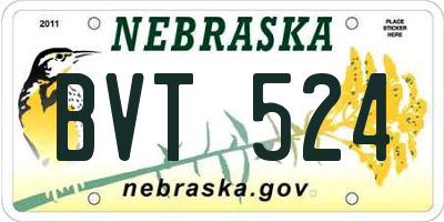 NE license plate BVT524