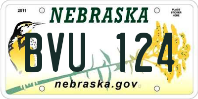 NE license plate BVU124